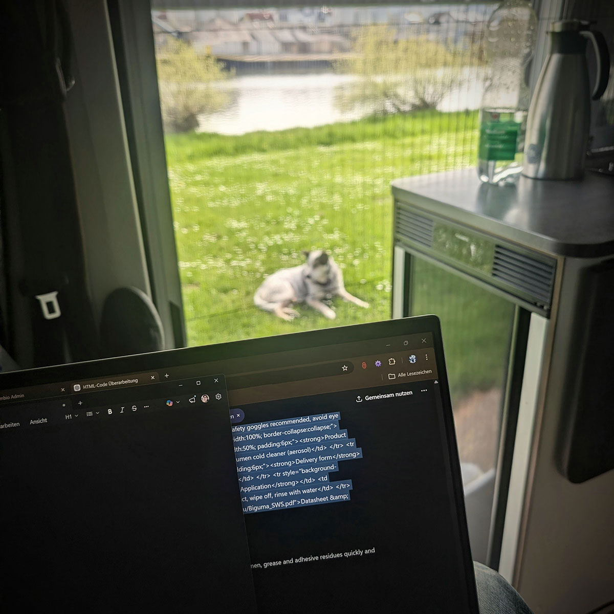 Laptop mit geöffnetem HTML-Code im Camper, dahinter die offene Schiebetür mit Blick auf eine Wiese, auf der Cooper liegt.